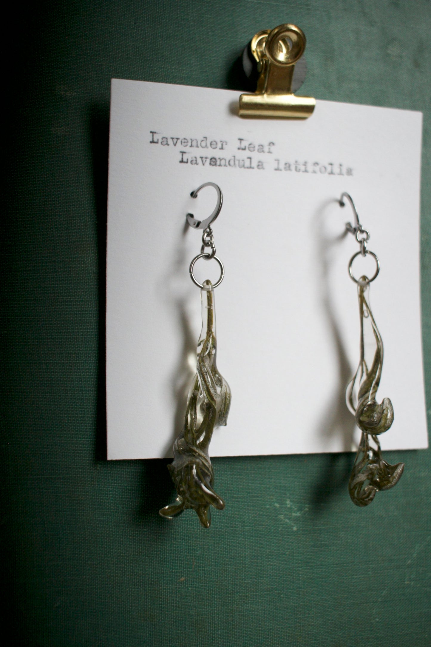 Lavandula Dangles