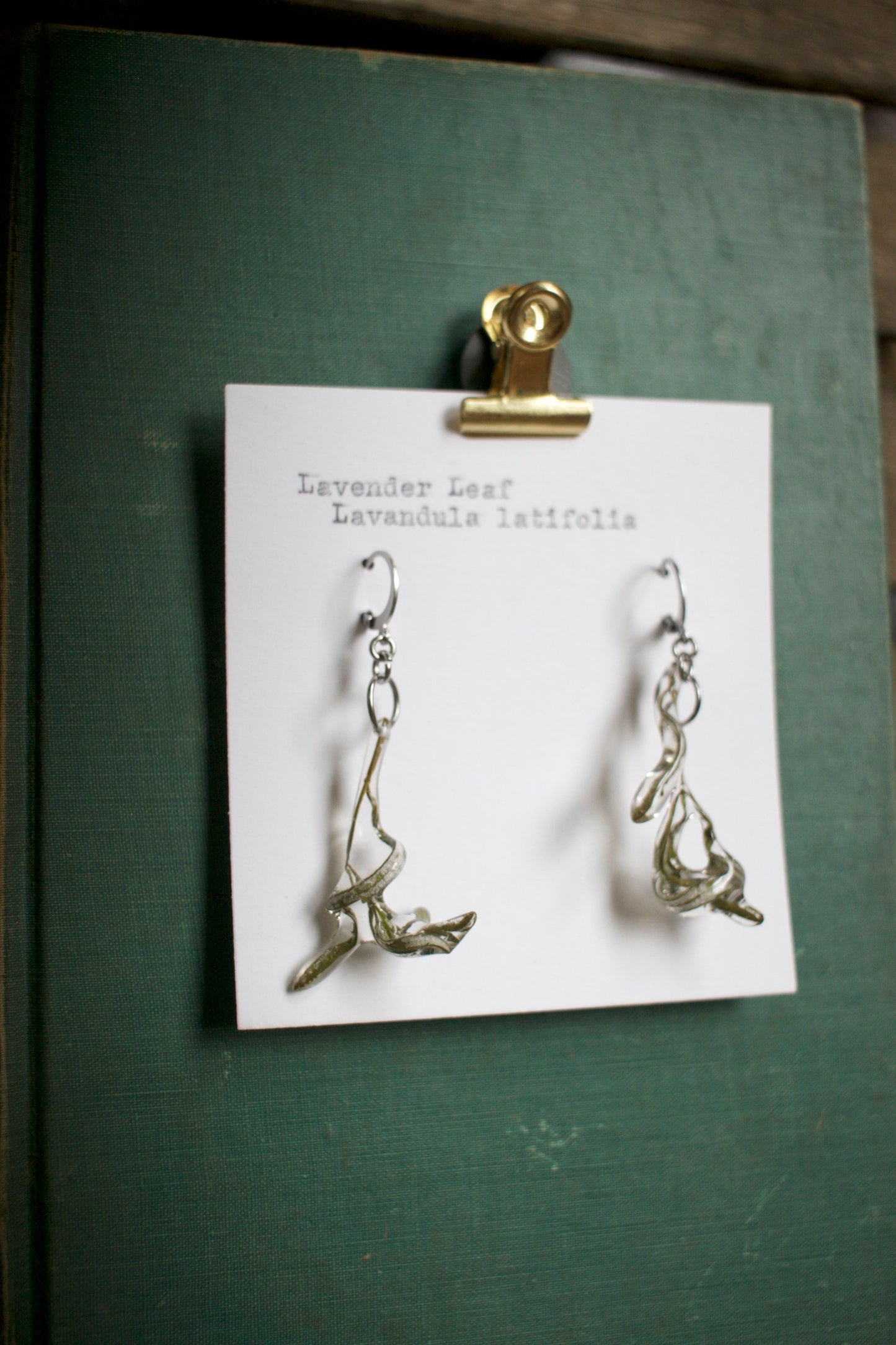 Lavandula Dangles