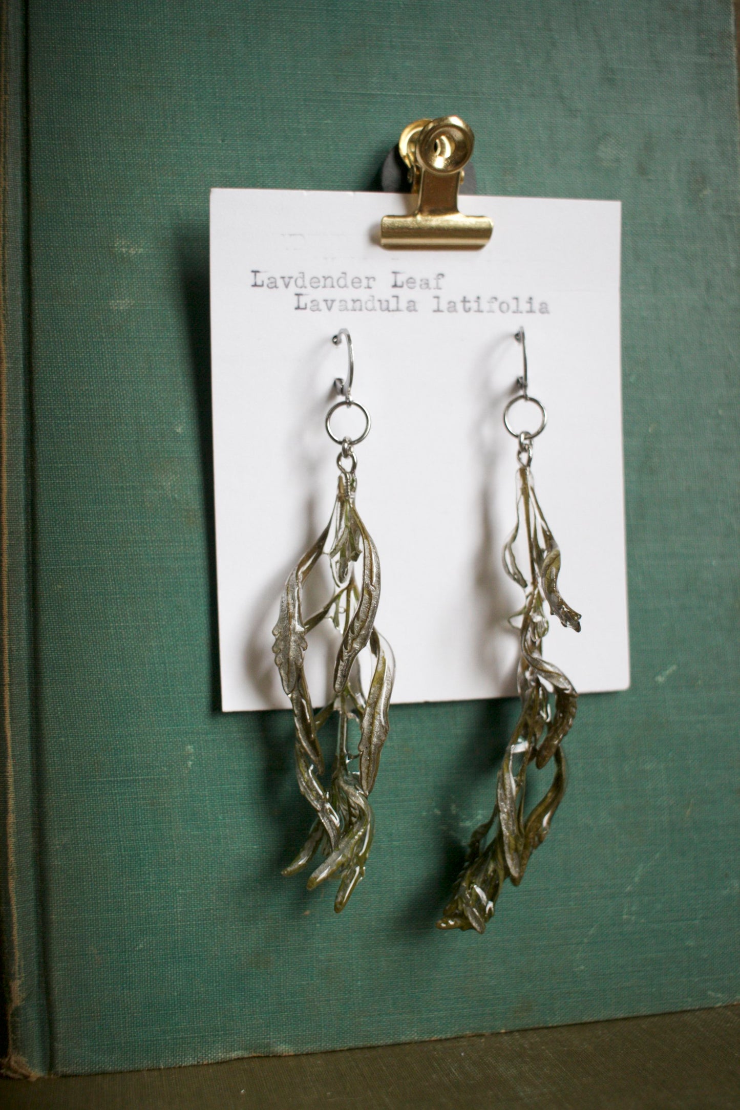 Lavandula Dangles