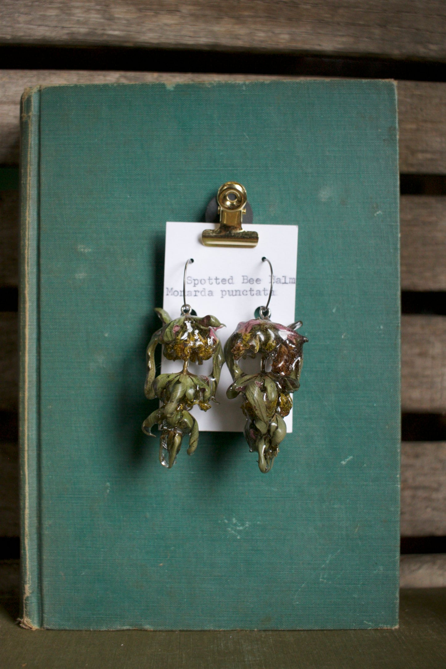 Monarda punctata Hoop Dangles