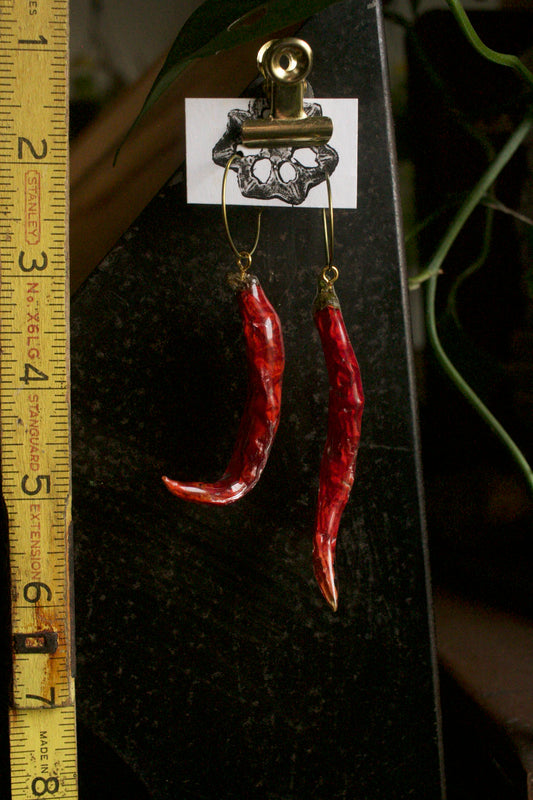 Capsicum frutescens Hoop Dangles